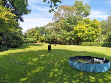 View of the site; dogs are welcome