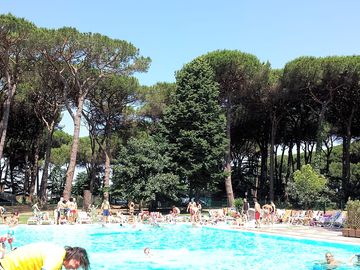 Sun loungers around the swimming pool
