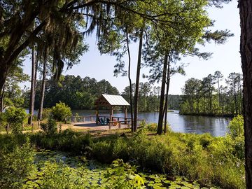 Dock at lake jasper