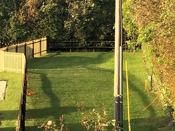 New dog walking area