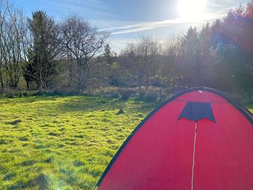 Spacious camping pitch
