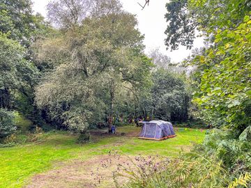 Visitor photo of the camping pitch