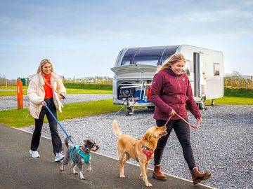 Hard-standing, fully serviced pitches and tarmac roadways. Dogs welcome too!