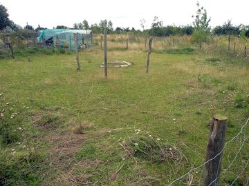 Paddock pitches