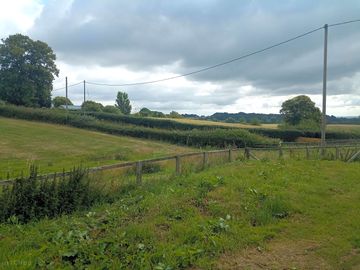 The Paddock and views