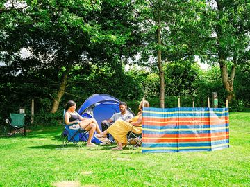 Electric Grass Pitch Family