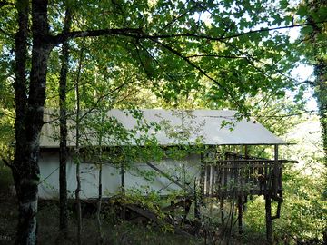 View of the tent