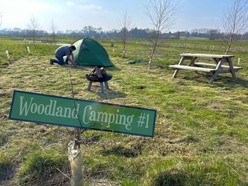 Grass pitch with picnic bench and fire pit area with pond and countryside views.