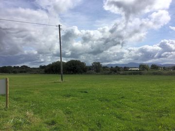 The field