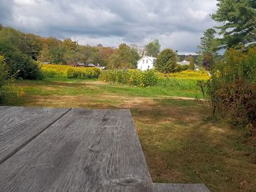 View from the picnic table to the main house