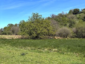 Camping pitches