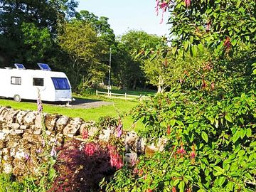 Grass pitches with greenery all around