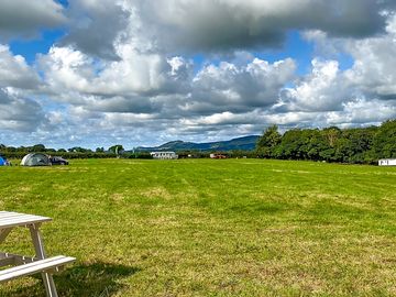 View of the field