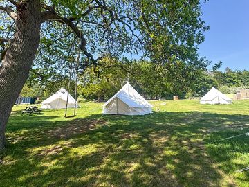 Bell tents on their pitches