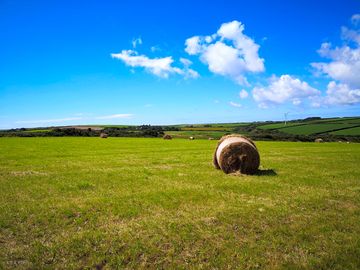 Large open fields