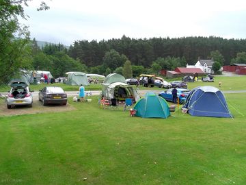 Tent field