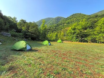 Pitches shaded by trees