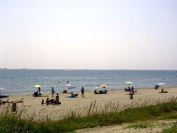 Beach just outside the site