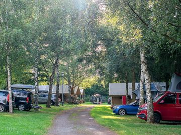 Grass pitches under the trees