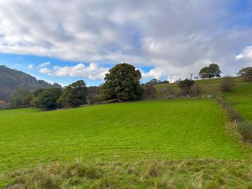Our fields