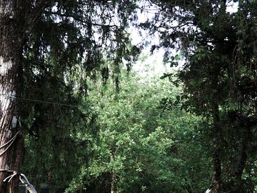 Calm surroundings