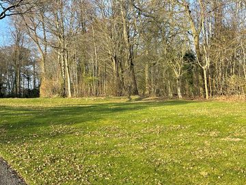 Grass pitches in spring