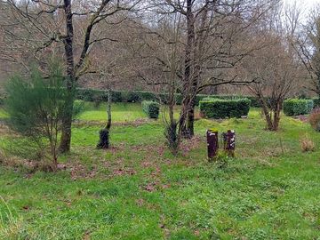 Around the site