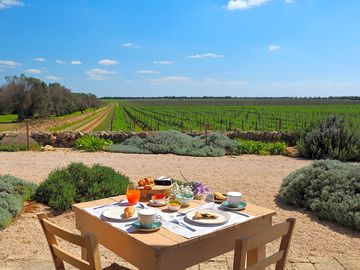 Colazione vista vigneti
