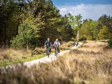Fietsen in de omgeving