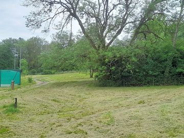 Grass pitches sheltered by trees