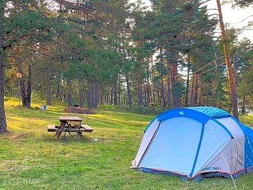 Tent pitches