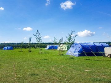 Sunny day on site