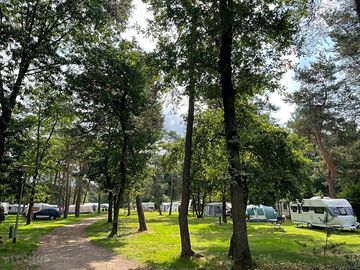 Camping pitches