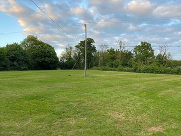 Grassy space
