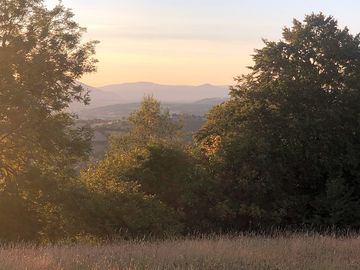 View from the pitches