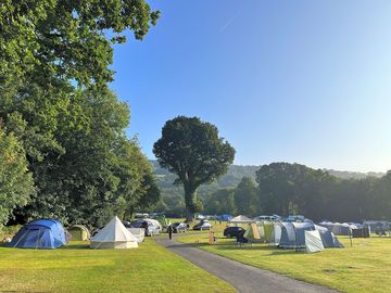 Grass pitches