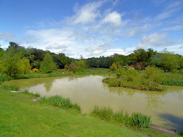 View across both lakes from one of our standard pods