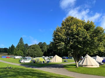 Grass pitches
