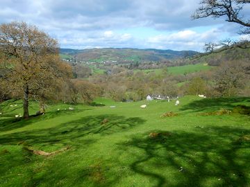 Views of the farm