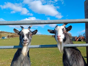 Peggy and flo at their gate with barn owl cabin in the background