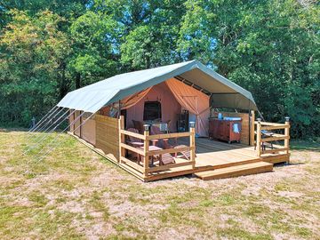 Safari tent