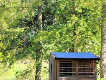 Wooden camping pod