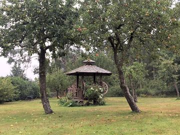Gazebo in the orchard