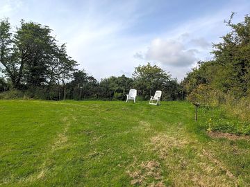 Bird feeding area
