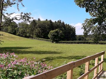 View of Wye Valley walk