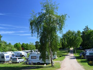 Sunny day at the site