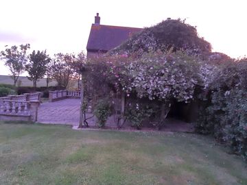 Flowers by the washing-up area