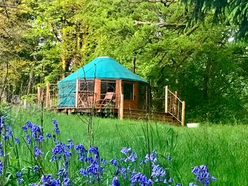 Elder Yurt in Spring