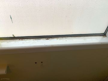 Mould dirty