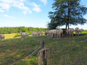 Meet your neighbours